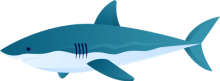 shark-p-500 shark-p-500